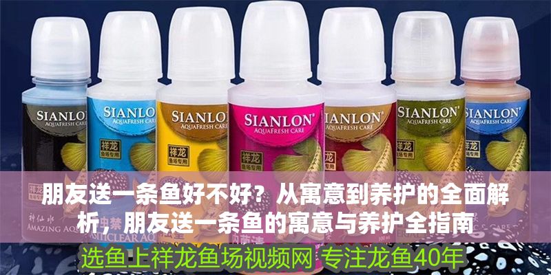 朋友送一條魚好不好？從寓意到養護的全面解析，朋友送一條魚的寓意與養護全指南