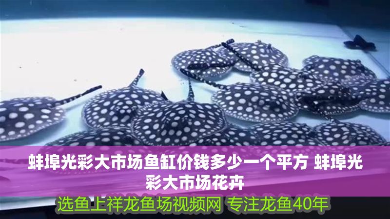 蚌埠光彩大市場魚缸價錢多少一個平方 蚌埠光彩大市場花卉