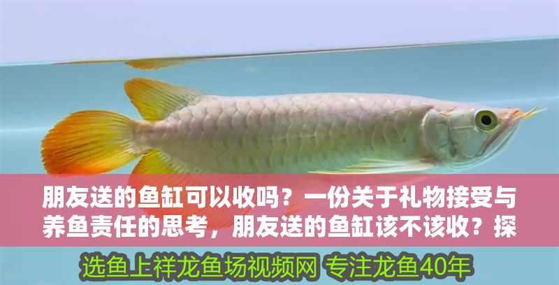朋友送的魚缸可以收嗎？一份關(guān)于禮物接受與養(yǎng)魚責(zé)任的思考，朋友送的魚缸該不該收？探討禮物背后的責(zé)任與承諾