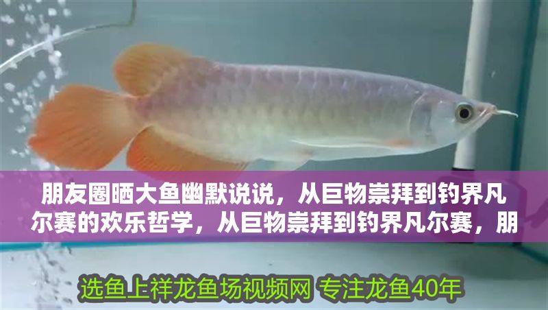 朋友圈曬大魚幽默說說，從巨物崇拜到釣界凡爾賽的歡樂哲學(xué)，從巨物崇拜到釣界凡爾賽，朋友圈曬大魚的幽默哲學(xué)