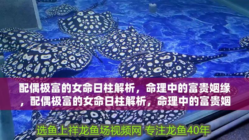 配偶極富的女命日柱解析，命理中的富貴姻緣，配偶極富的女命日柱解析，命理中的富貴姻緣特征