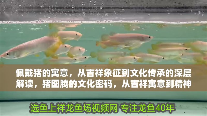 佩戴豬的寓意，從吉祥象征到文化傳承的深層解讀，豬圖騰的文化密碼，從吉祥寓意到精神傳承的深度解析