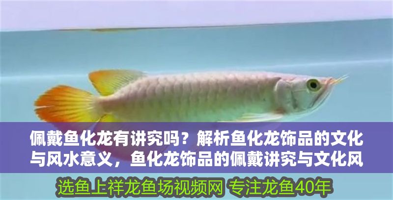 佩戴魚化龍有講究嗎?解析魚化龍飾品的文化與風水意義,魚化龍飾品的佩戴講究與文化風水寓意解析 龍魚百科 第1張 佩戴魚化龍有講究嗎?解析魚化龍飾品的文化與風水意義,魚化龍飾品的佩戴講究與文化風水寓意解析 佩戴魚化龍有講究嗎?解析魚化龍飾品的文化與風水意義,魚化龍飾品的佩戴講究與文化風水寓意解析 龍魚百科 第1張