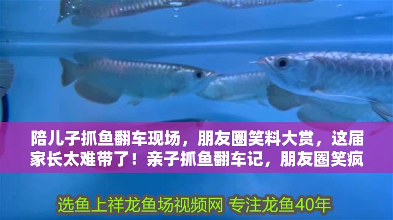陪兒子抓魚翻車現(xiàn)場，朋友圈笑料大賞，這屆家長太難帶了！親子抓魚翻車記，朋友圈笑瘋的家長帶娃現(xiàn)場！
