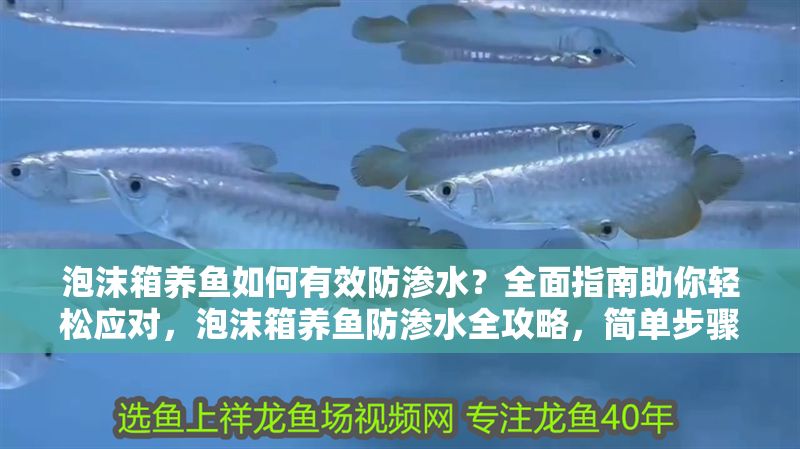 泡沫箱養(yǎng)魚如何有效防滲水？全面指南助你輕松應(yīng)對(duì)，泡沫箱養(yǎng)魚防滲水全攻略，簡(jiǎn)單步驟解決漏水難題