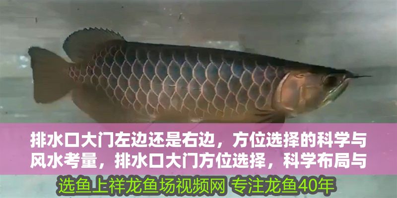 排水口大門左邊還是右邊，方位選擇的科學與風水考量，排水口大門方位選擇，科學布局與風水宜忌解析