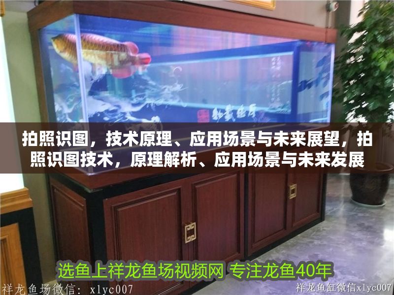 拍照識圖，技術原理、應用場景與未來展望，拍照識圖技術，原理解析、應用場景與未來發展趨勢