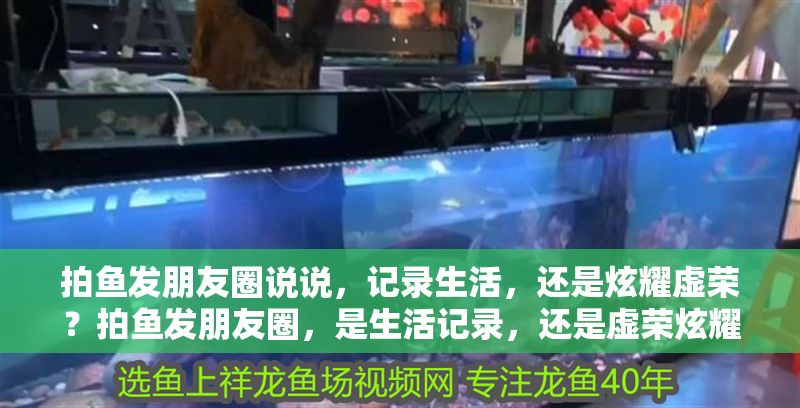 拍魚發朋友圈說說，記錄生活，還是炫耀虛榮？拍魚發朋友圈，是生活記錄，還是虛榮炫耀？