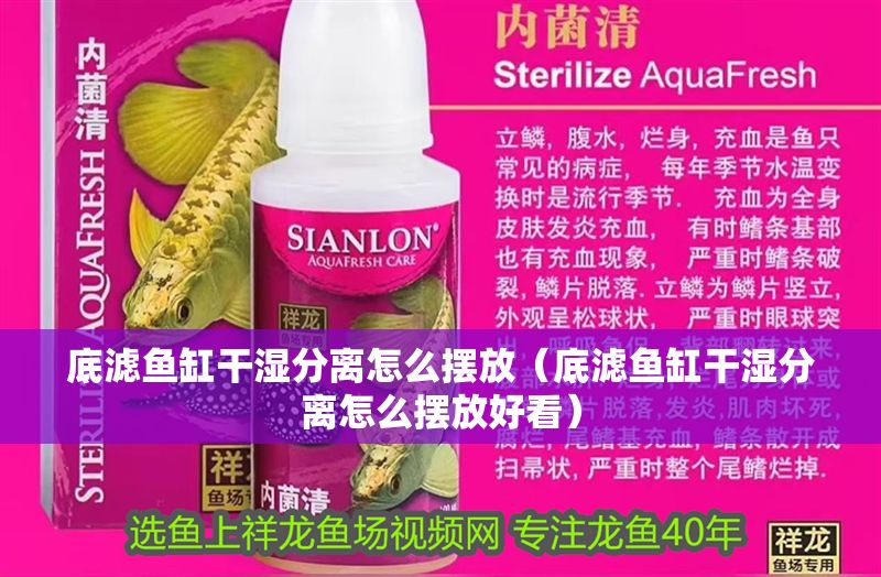 底濾魚缸干濕分離怎么擺放（底濾魚缸干濕分離怎么擺放好看）