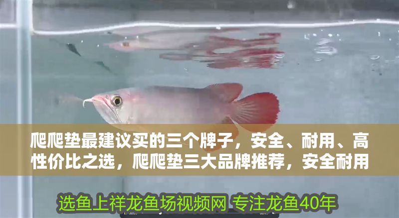 爬爬墊最建議買的三個牌子，安全、耐用、高性價比之選，爬爬墊三大品牌推薦，安全耐用又高性價比的首選