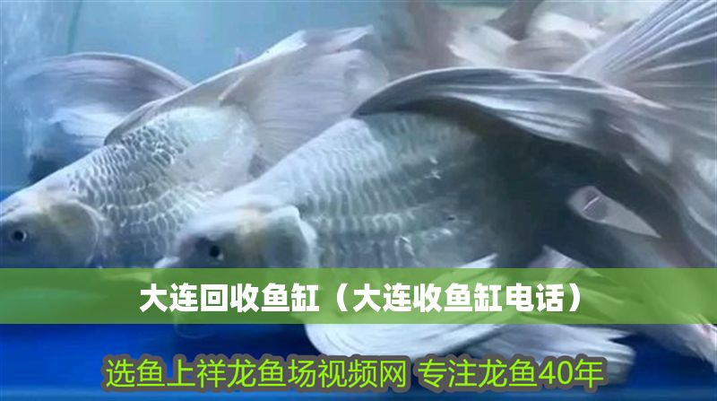 大連回收魚缸（大連收魚缸電話）