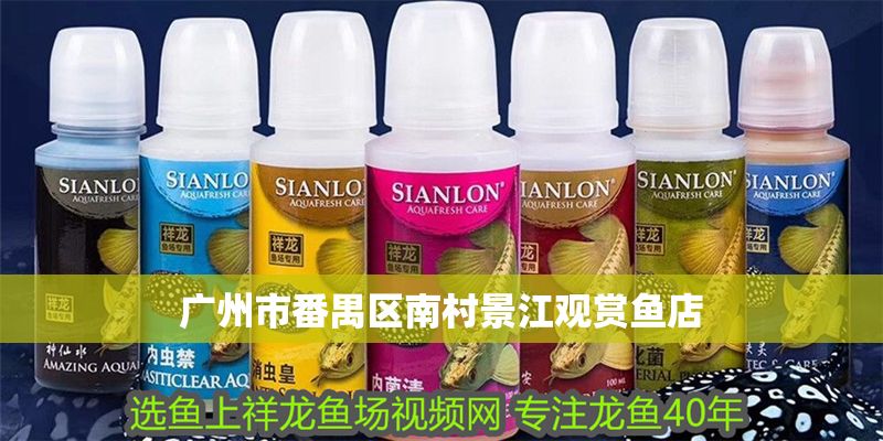 廣州市番禺區南村景江觀賞魚店