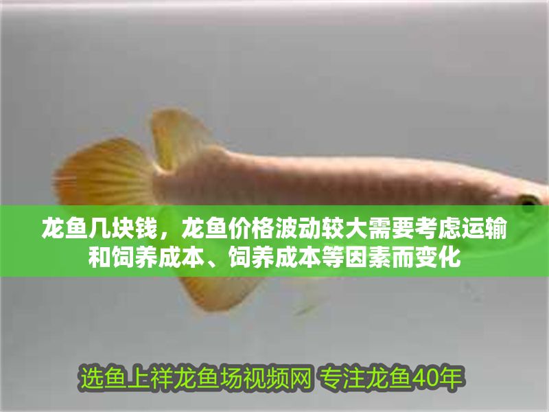 龍魚幾塊錢，龍魚價格波動較大需要考慮運輸和飼養成本、飼養成本等因素而變化