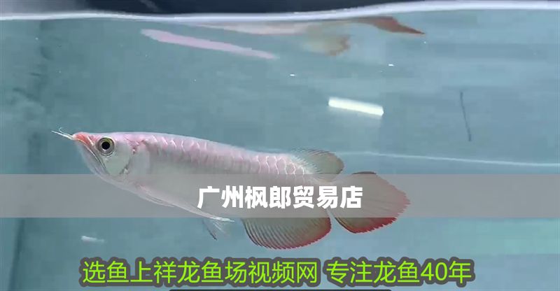 廣州楓郎貿易店