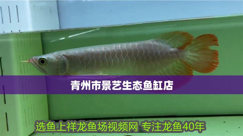 青州市景藝生態魚缸店