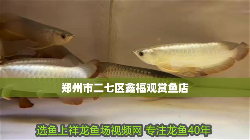 鄭州市二七區(qū)鑫福觀賞魚店 鄭州市二七區(qū)鑫福觀賞魚店 全國(guó)水族館企業(yè)名錄 第2張