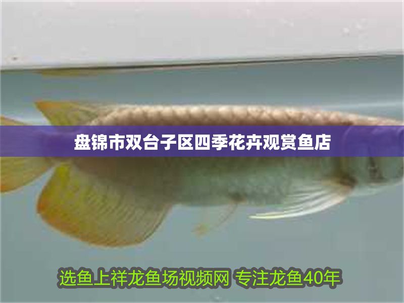 盤錦市雙臺子區(qū)四季花卉觀賞魚店 盤錦市雙臺子區(qū)四季花卉觀賞魚店 全國水族館企業(yè)名錄 第2張