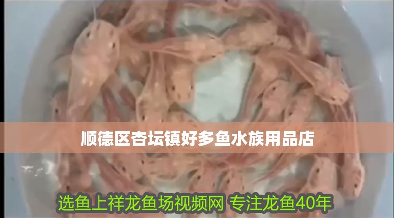順德區杏壇鎮好多魚水族用品店