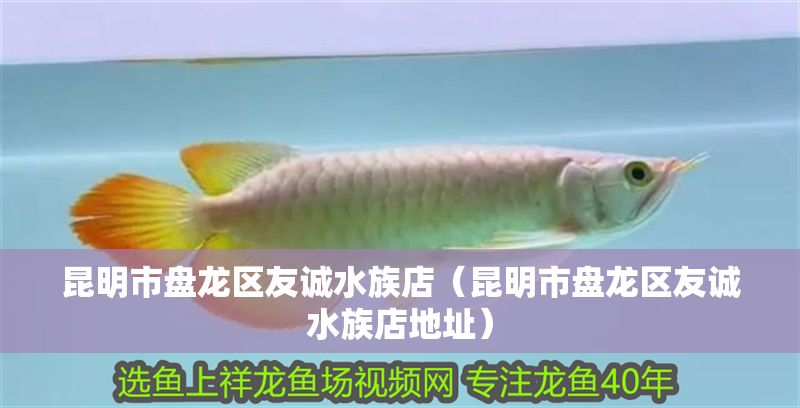 昆明市盤龍區友誠水族店（昆明市盤龍區友誠水族店地址） 昆明市盤龍區友誠水族店（昆明市盤龍區友誠水族店地址） 全國水族館企業名錄 第1張