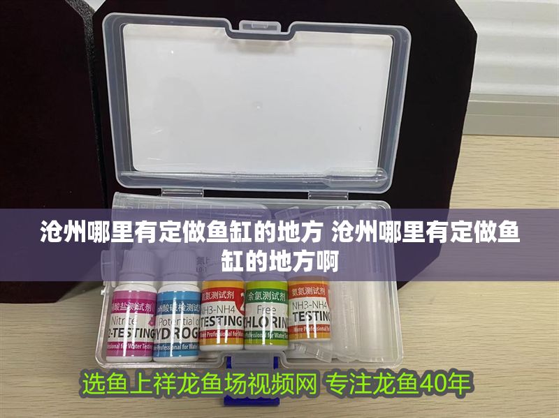 滄州哪里有定做魚缸的地方 滄州哪里有定做魚缸的地方啊 滄州哪里有定做魚缸的地方 滄州哪里有定做魚缸的地方啊 龍魚百科 第1張