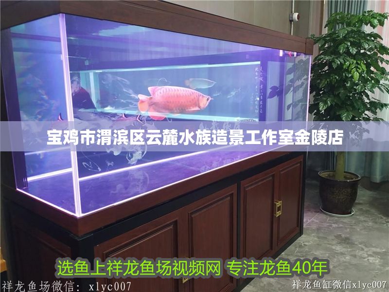 寶雞市渭濱區云麓水族造景工作室金陵店