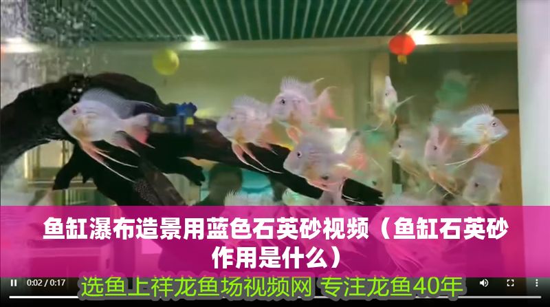 魚缸瀑布造景用藍色石英砂視頻（魚缸石英砂作用是什么）