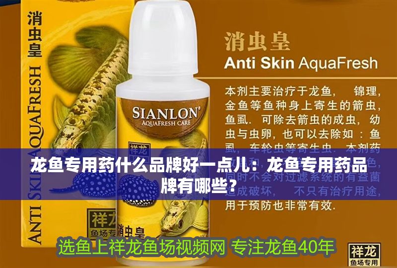 龍魚專用藥什么品牌好一點(diǎn)兒：龍魚專用藥品牌有哪些？