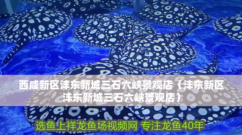 西咸新區灃東<strong><mark>新城</mark></strong>三石六峽景觀店（灃東新區灃東<strong><mark>新城</mark></strong>三石六峽景觀店）