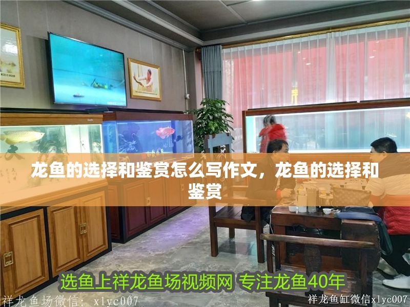 龍魚的選擇和鑒賞怎么寫作文，龍魚的選擇和鑒賞