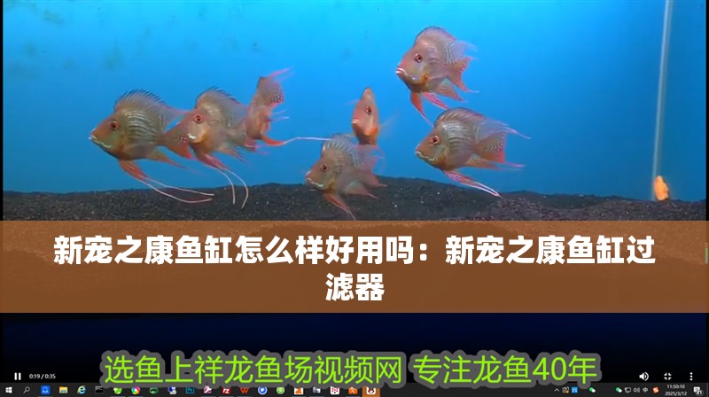 新寵之康魚(yú)缸怎么樣好用嗎：新寵之康魚(yú)缸過(guò)濾器