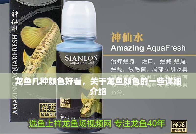 龍魚幾種顏色好看，關(guān)于龍魚顏色的一些詳細介紹