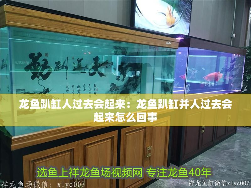 龍魚(yú)趴缸人過(guò)去會(huì)起來(lái)：龍魚(yú)趴缸并人過(guò)去會(huì)起來(lái)怎么回事