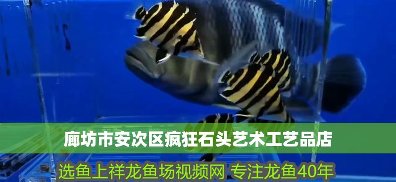 廊坊市安次區瘋狂石頭藝術工藝品店