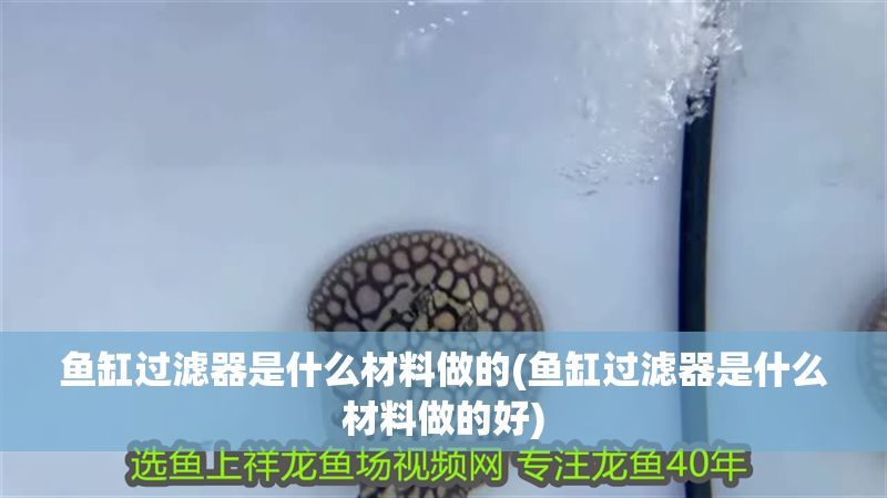 魚缸過濾器是什么材料做的(魚缸過濾器是什么材料做的好)