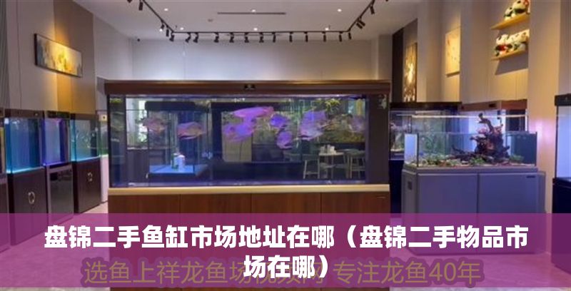 盤錦二手魚缸市場地址在哪（盤錦二手物品市場在哪）