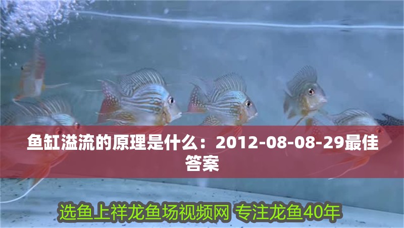 魚缸溢流的原理是什么：2012-08-08-29最佳答案