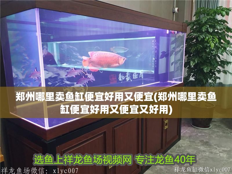 鄭州哪里賣魚缸便宜好用又便宜(鄭州哪里賣魚缸便宜好用又便宜又好用)