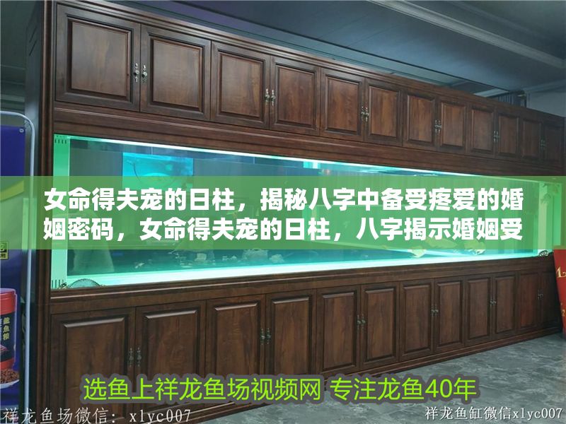 女命得夫?qū)櫟娜罩颐匕俗种袀涫芴蹛鄣幕橐雒艽a，女命得夫?qū)櫟娜罩俗纸沂净橐鍪軐櫟拿硇C