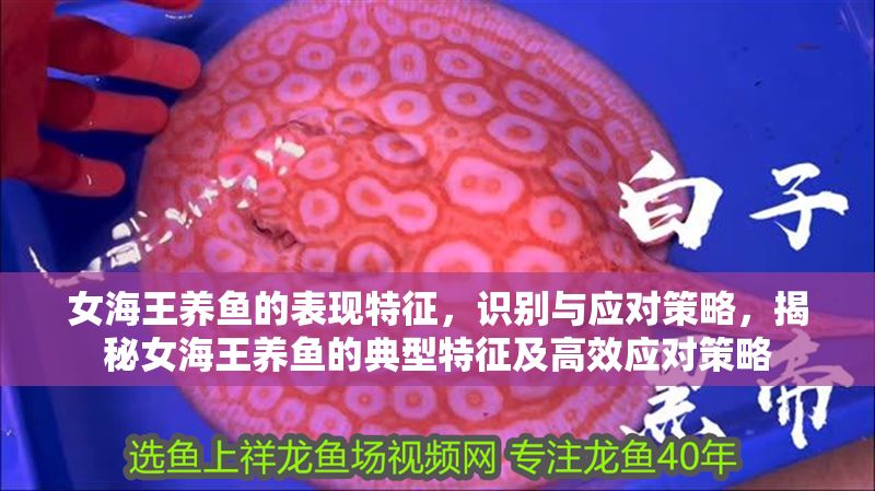 女海王養魚的表現特征，識別與應對策略，揭秘女海王養魚的典型特征及高效應對策略 女海王養魚的表現特征，識別與應對策略，揭秘女海王養魚的典型特征及高效應對策略 龍魚百科 第1張
