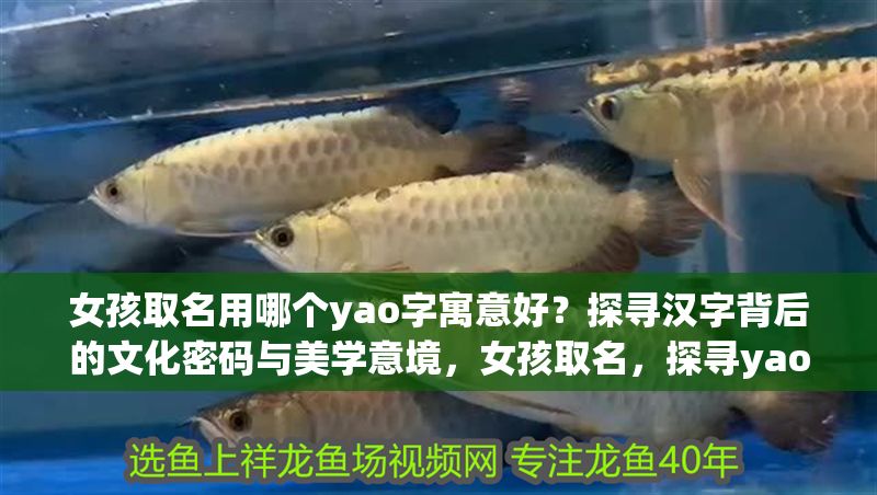 女孩取名用哪個yao字寓意好？探尋漢字背后的文化密碼與美學意境，女孩取名，探尋yao字背后的美好寓意與文化深意 女孩取名用哪個yao字寓意好？探尋漢字背后的文化密碼與美學意境，女孩取名，探尋yao字背后的美好寓意與文化深意 龍魚百科 第1張