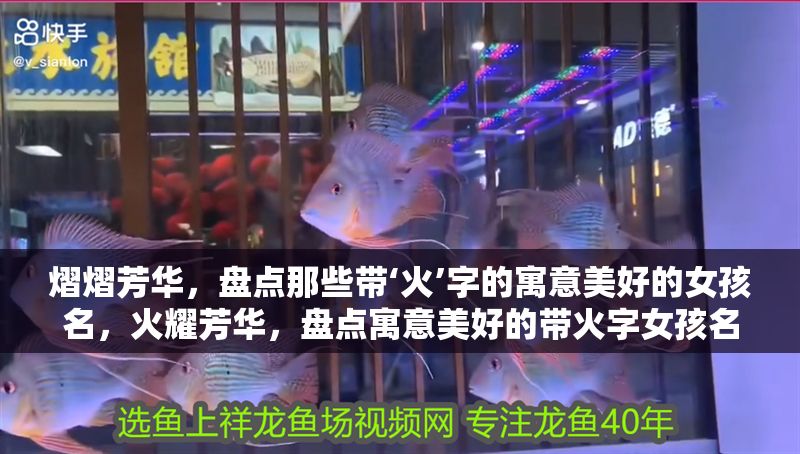 熠熠芳華，盤點那些帶‘火’字的寓意美好的女孩名，火耀芳華，盤點寓意美好的帶火字女孩名 熠熠芳華，盤點那些帶‘火’字的寓意美好的女孩名，火耀芳華，盤點寓意美好的帶火字女孩名 龍魚百科 第1張