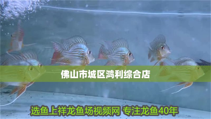 佛山市城區鴻利綜合店