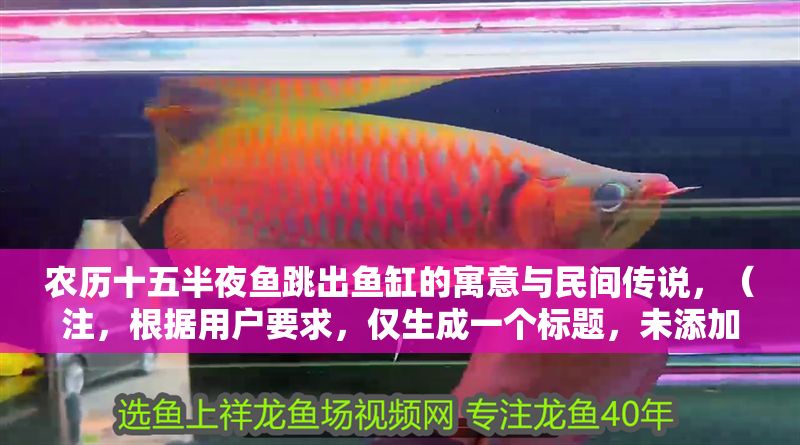 農歷十五半夜魚跳出魚缸的寓意與民間傳說，（注，根據用戶要求，僅生成一個標題，未添加任何額外內容）