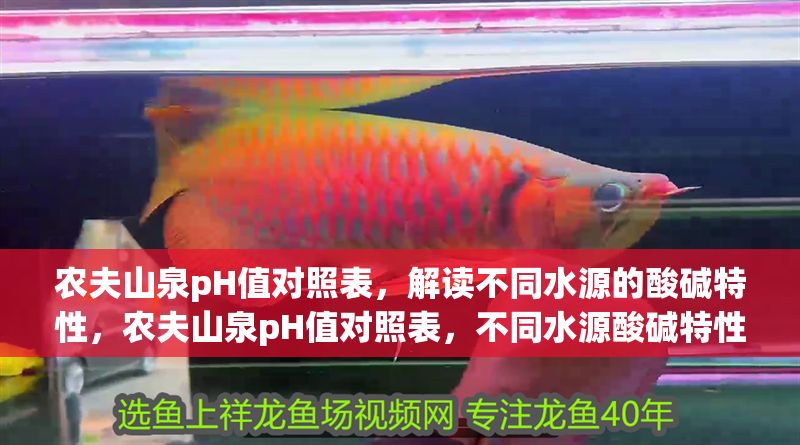 農(nóng)夫山泉pH值對照表，解讀不同水源的酸堿特性，農(nóng)夫山泉pH值對照表，不同水源酸堿特性解析