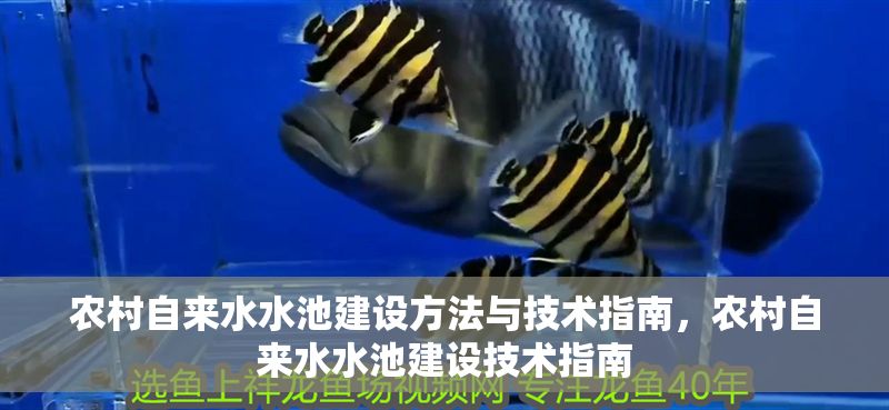 農村自來水水池建設方法與技術指南，農村自來水水池建設技術指南 農村自來水水池建設方法與技術指南，農村自來水水池建設技術指南 龍魚百科 第1張
