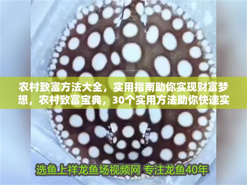 農(nóng)村致富方法大全，實(shí)用指南助你實(shí)現(xiàn)財(cái)富夢想，農(nóng)村致富寶典，30個(gè)實(shí)用方法助你快速實(shí)現(xiàn)財(cái)富自由