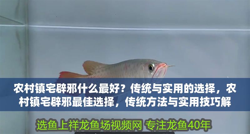 農村鎮宅辟邪什么最好？傳統與實用的選擇，農村鎮宅辟邪最佳選擇，傳統方法與實用技巧解析