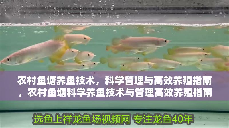 農村魚塘養魚技術，科學管理與高效養殖指南，農村魚塘科學養魚技術與管理高效養殖指南 農村魚塘養魚技術，科學管理與高效養殖指南，農村魚塘科學養魚技術與管理高效養殖指南 龍魚百科 第1張