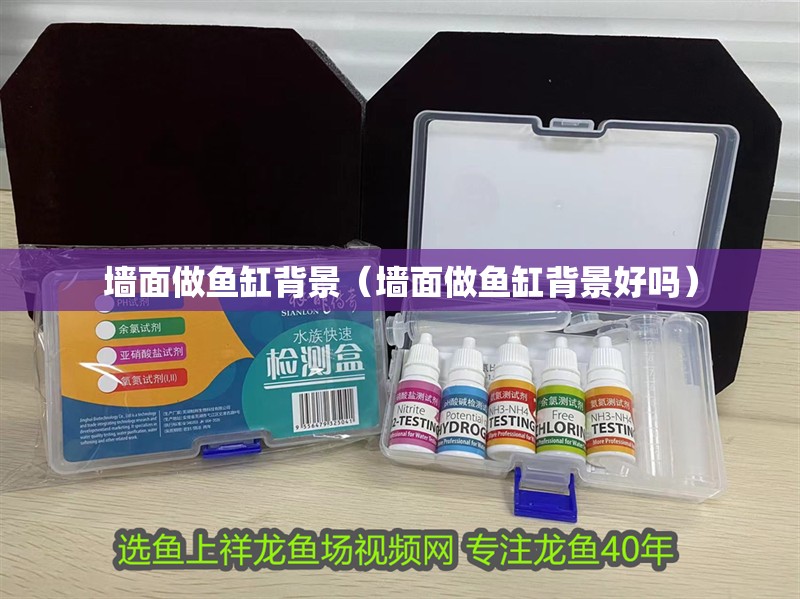 龍魚干蝦有營養嗎 墻面做魚缸背景(墻面做魚缸背景好嗎) 觀賞魚百科 墻面做魚缸背景(墻面做魚缸背景好嗎) 墻面做魚缸背景(墻面做魚缸背景好嗎) 觀賞魚百科