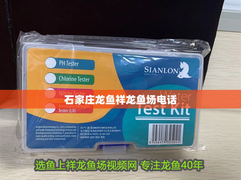 石家莊龍魚祥龍魚場(chǎng)電話